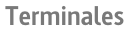Terminales